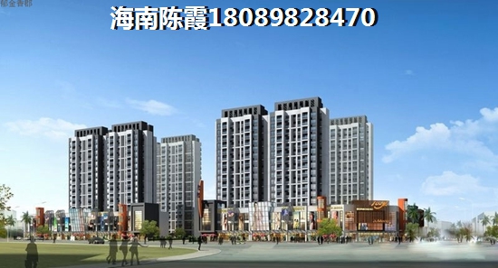 北美金港交通图